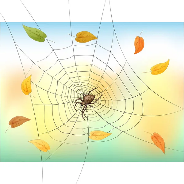 Spider Fall Leaves — Stock Vector