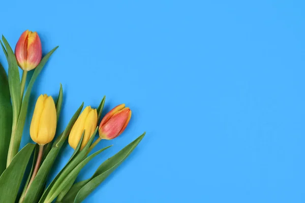 Bouquet Von Bunten Gelben Und Orangefarbenen Tulpe Frühlingsblumen Der Ecke — Stockfoto