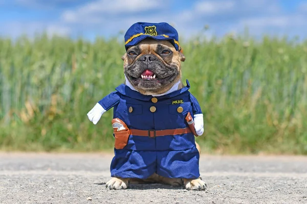 Забавный Французский Бульдог Костюме Офицера Полиции Хэллоуин Фальшивыми Руками Стоящими — стоковое фото