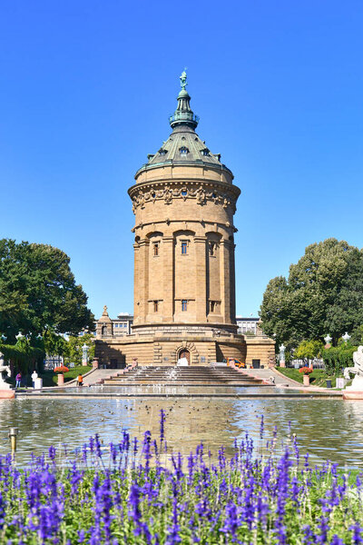 Mannheim, Germany - September 2020: Water Tour called 'Wasserturm', landmark of German city Mannheim in small public park with purple flowers on sunny day