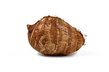 Small 'Colocasia Esculenta Taro' bulb that can be used for food or for growing plant isolated on white background clipart