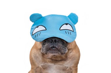 Uyuyan bir maske takan komik Fransız Bulldog 'u beyaz arka planda çizgi film gözleri