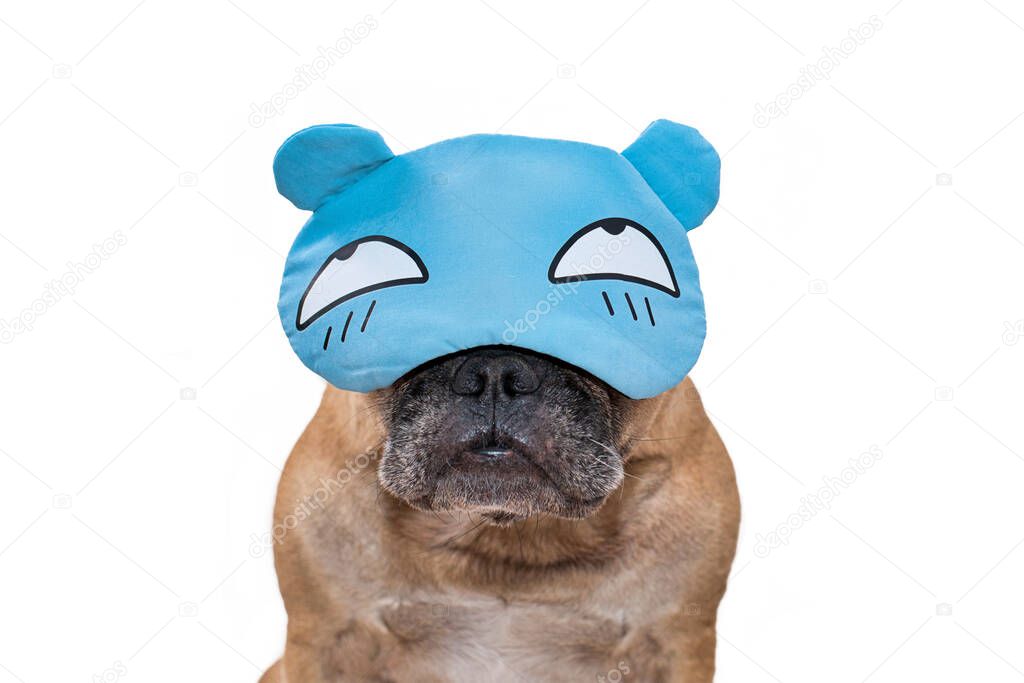 Funny French Bulldog dog wearing a sleeping mask with cartoon eyes on white background