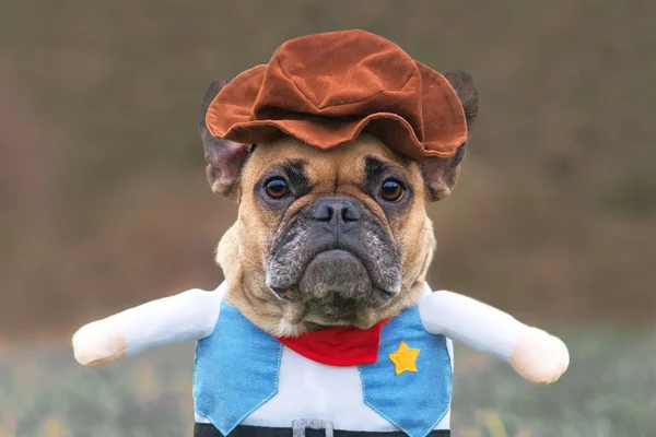 Adorable French Bulldog dog wearing funny Carnival or Halloween cowboy full body costume with fake arms