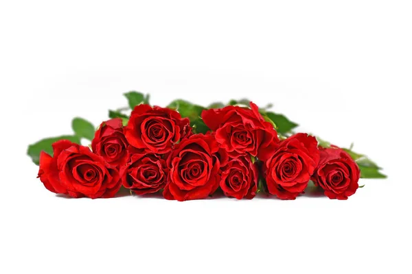 白底红玫瑰束 — 图库照片