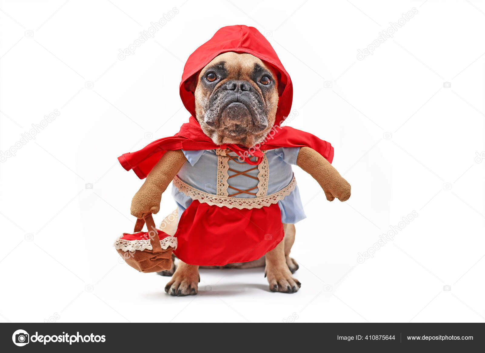 French Bulldog Fairytale Character Little Red Riding Hood Stock ©firn 410875644