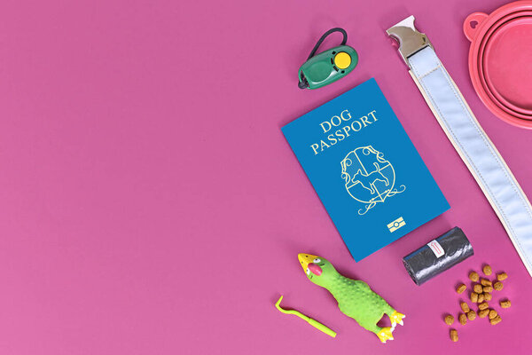 Concept for travelling with dogs showing made up blue dog passport next to pet supplies like collar, tick tweezers, clicker, dog treats or poop bags on pink background with copy space