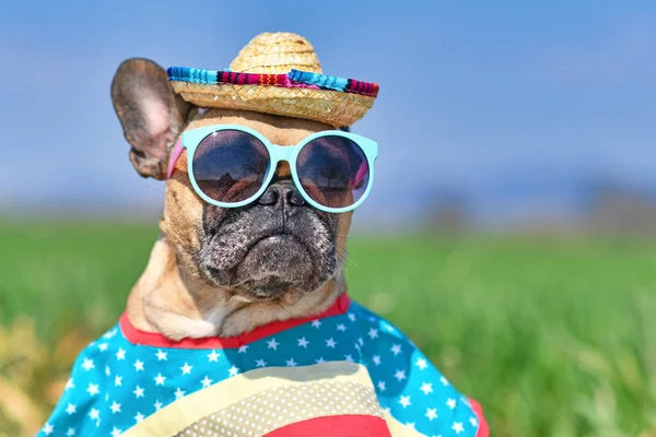 Funny French Bulldog Dog Dressed Sunglasses Colorful Straw Hat Poncho — Stock Photo, Image