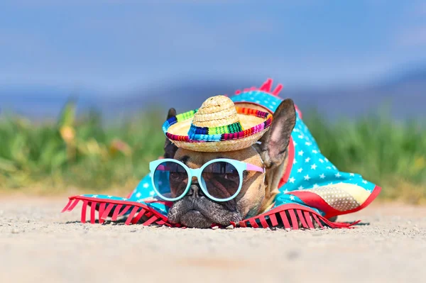 Adorabile Cane Bulldog Francese Vestito Con Occhiali Sole Cappello Paglia — Foto Stock