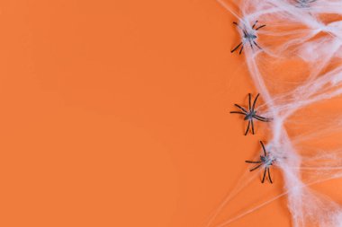 Portakal rengi Cadılar Bayramı arka planında boş kopya alanı olan örümcek ağları ve plastik örümcekler