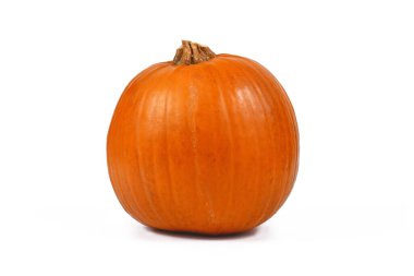 Beyaz arka planda izole edilmiş 'Bebek Ayı' Cadılar Bayramı balkabağı