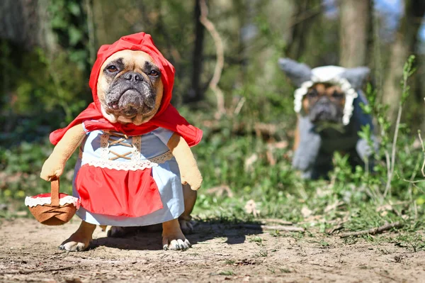 escritorio bruscamente Fraternidad Disfraz de perro de halloween fotos de stock, imágenes de Disfraz de perro de halloween sin royalties | Depositphotos escritorio bruscamente Fraternidad Disfraz de perro de halloween fotos de stock, imágenes de Disfraz de perro de halloween sin royalties | Depositphotos