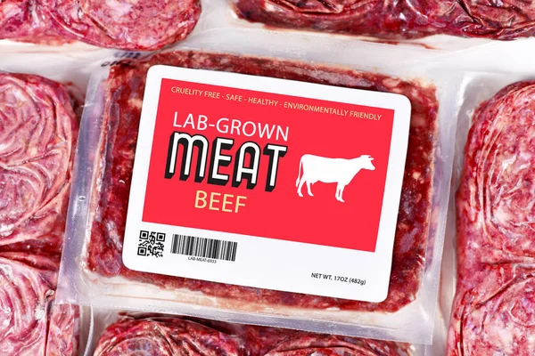 Concepto Carne Cultivada Laboratorio Para Producción Artificial Carne Cultivo Celular — Foto de Stock
