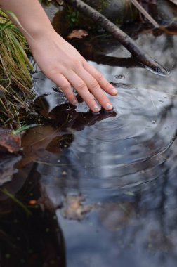El Berhrt Wasser, Spiegelung im Wasser