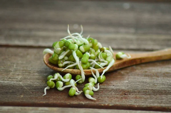 gekeimte Mungbohnen, Sprossen ziehen, Rohvegan