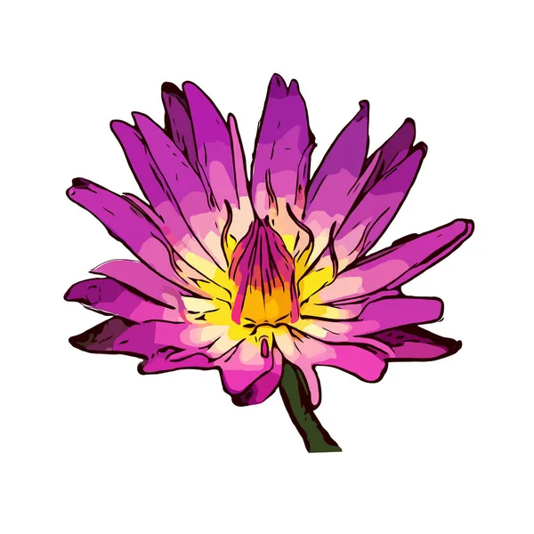 Handzeichnen Seerose Oder Lotusblume — Stockvektor