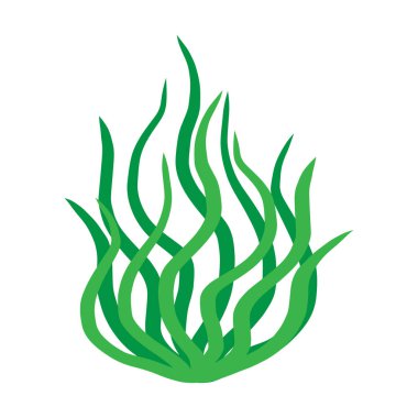 beyaz zemin üzerine yeşil algler izole illüstrasyon