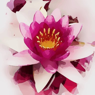 Lotus suluboya vektör çizim