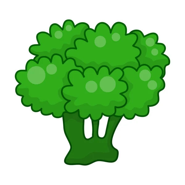 Groene broccoli cartoon geïsoleerde illustratie op witte achtergrond — Stockvector