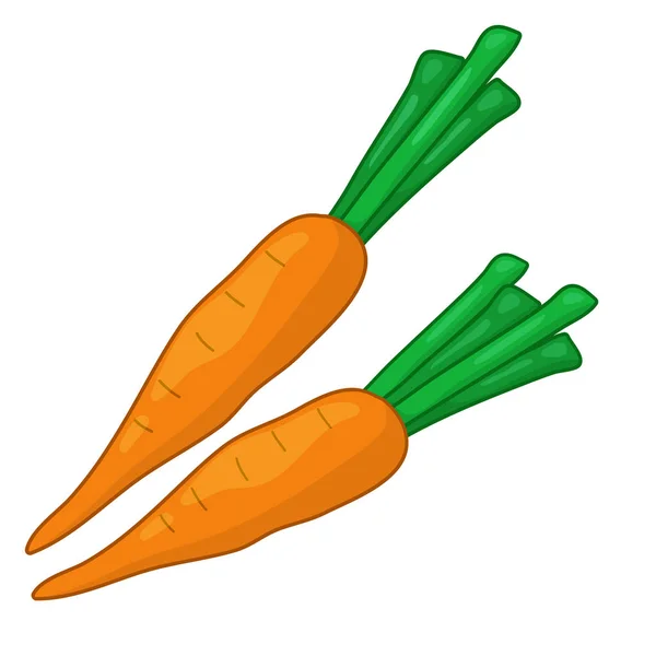 Ilustración aislada de zanahoria sobre fondo blanco — Vector de stock