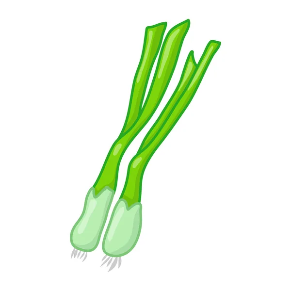 Illustration isolée d'oignon vert ou d'échalote sur blanc b — Image vectorielle