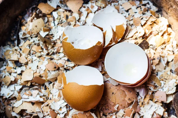 Cerrar la cáscara de huevo de Pascua agrietada — Foto de Stock