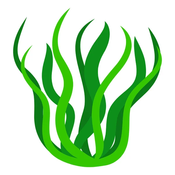 Algues vertes illustration isolée sur fond blanc — Image vectorielle