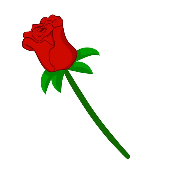 Κόκκινο τριαντάφυλλο απομονωμένη εικόνα σε λευκό φόντο — Διανυσματικό Αρχείο