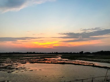 Pirinç tarlasında renkli gün batımı