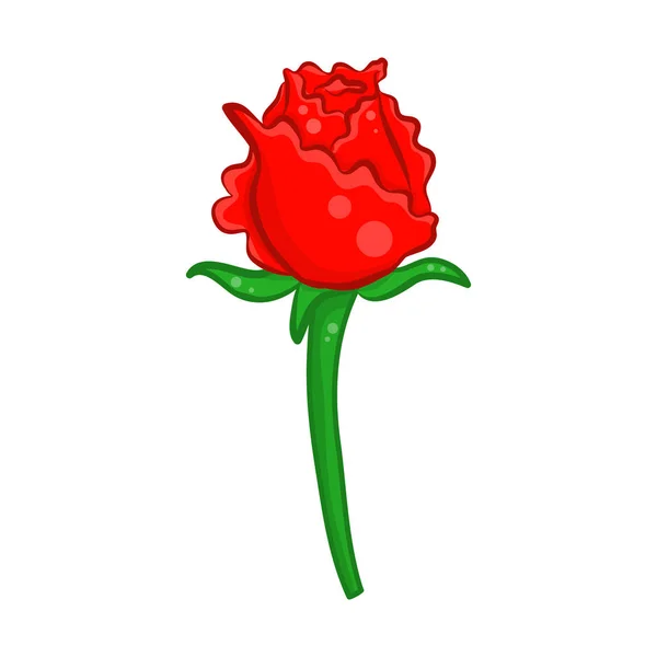 Red rose isolated illustration on white background — Stock Vector