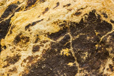 Taş taş doku arka kapatmak