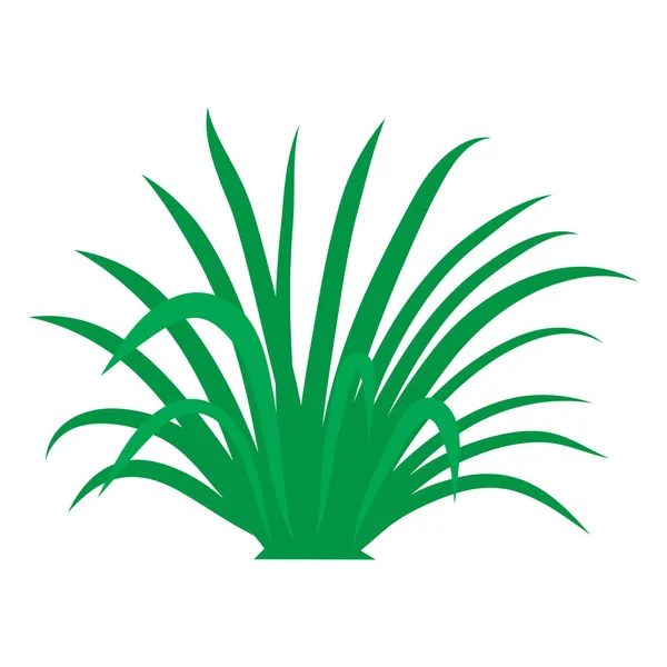 Зелена Трава Ізольована Ілюстрація Білому Тлі — стоковий вектор
