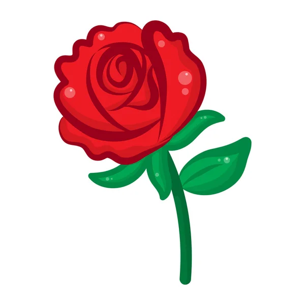 Κόκκινο Τριαντάφυλλο Απομονωμένη Εικόνα Λευκό Φόντο — Διανυσματικό Αρχείο