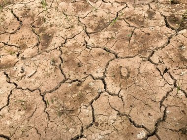 Çatlak toprak. Kurutma ve çatlağın doğal arka planı