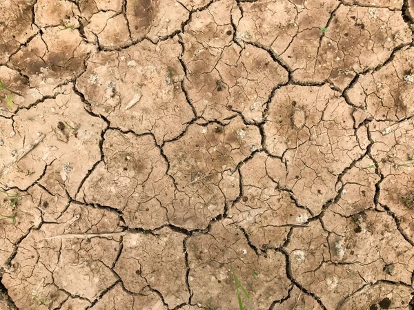 Çatlak Toprak Kurutma Çatlağın Doğal Arka Planı — Stok fotoğraf