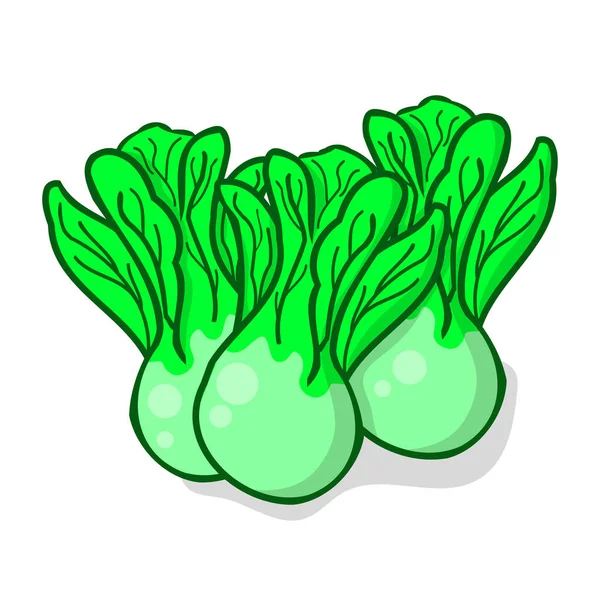 Bok Choy Repolho Chinês Ilustração Vetor Vegetal Isolado Fundo Branco —  Vetores de Stock