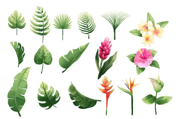 Set συλλογή πράσινα φύλλα και λουλούδι στυλ υδατογραφίας για την εκτύπωση, γάμος, διακοσμήσει, ανθοπωλείο, επαγγελματική κάρτα απεικόνιση διάνυσμα — Διανυσματικό Αρχείο