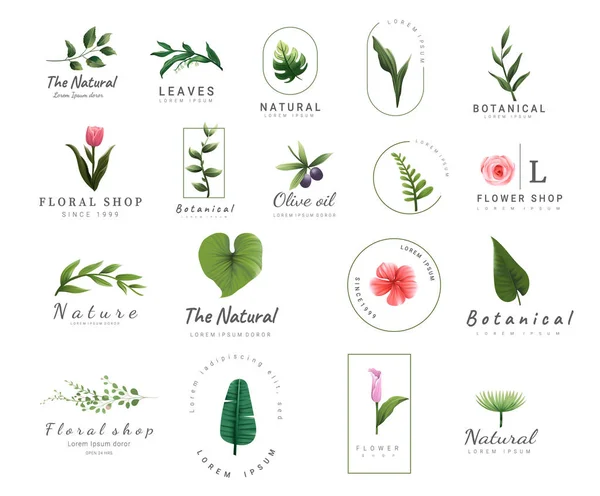 Premium Floral Logo Templates Wedding Luxury Logo Banner Badge Printing — Stock Vector