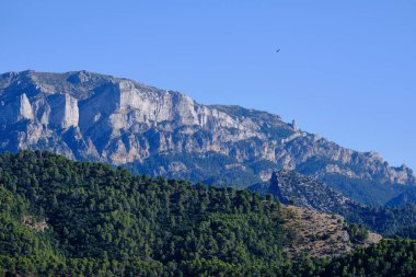 Sierra de Cazorla 'nın arka planında kayalık bir tepe ile büyük yeşil orman, Jan