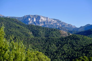 Sierra de Cazorla 'nın arka planında kayalık bir tepe ile büyük yeşil orman, Jan