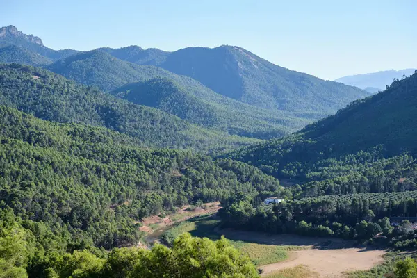 Sierra de Cazorla 'daki dağlar ve ağaçlar ve kahverengi çatılı beyaz bir ev.