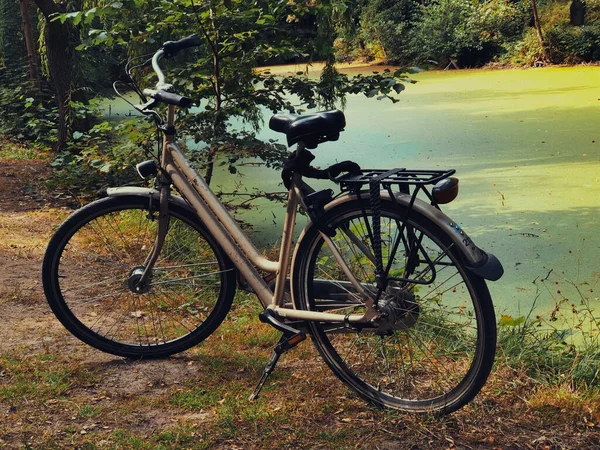 Bicycle Park Green Lake Tiergarten Berlin — Stock Photo, Image
