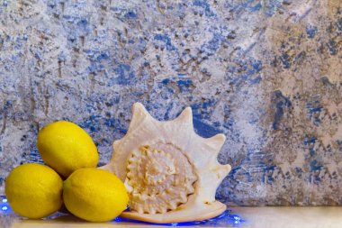 Işıklı bir masada üç limon ve bir deniz kabuğu. Beyaz ve mavi arka plan dokusu. Boşluğu kopyala