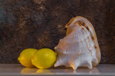 Masada iki limon ve büyük bir deniz kabuğu var. Kahverengi altın arka plan. Boşluğu kopyala