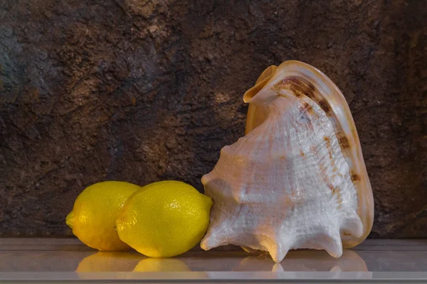 Masada iki limon ve büyük bir deniz kabuğu var. Kahverengi altın arka plan. Boşluğu kopyala