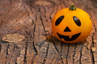 Cadılar Bayramı kartı. Turuncu balkabağı Jack 'tir. Ağacın kabuğunda yatıyorlar.