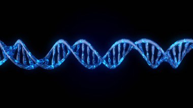 DNA kodu. Soyut 3d poligonal tel kafes Dna molekülü sarmal spiral.
