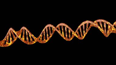 DNA kodu. Soyut 3d poligonal tel kafes Dna molekülü sarmal spiral.