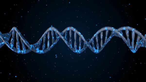 DNA kodu. Soyut 3d poligonal tel kafes Dna molekülü sarmal spiral.
