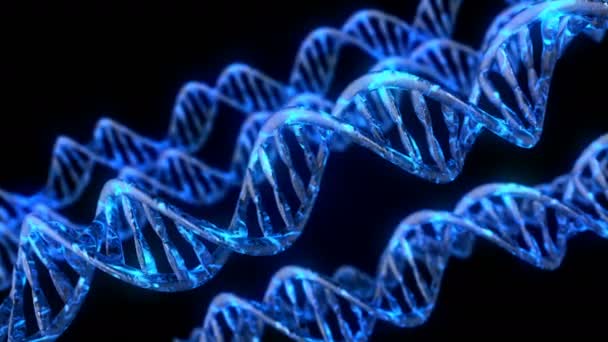 Dna Kodu Soyut Poligonal Tel Kafes Dna Molekülü Sarmal Spiral — Stok video